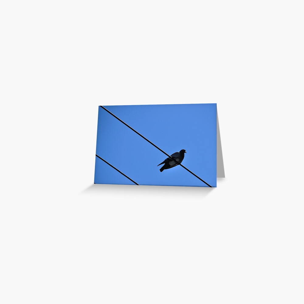A Nice Spot for Sunbathing Greeting Card