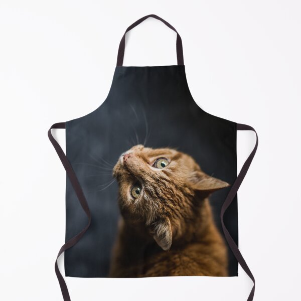Item preview, Cuty kitten designed and sold by Zachlogic.
