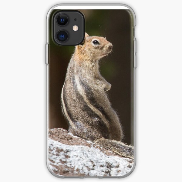 Squirrel stripes iPhone Soft Case
