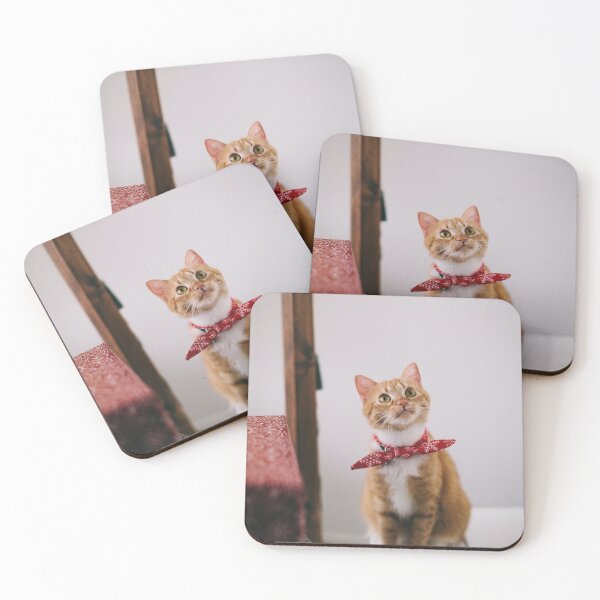 Item preview, Wonder cat designed and sold by Zachlogic.