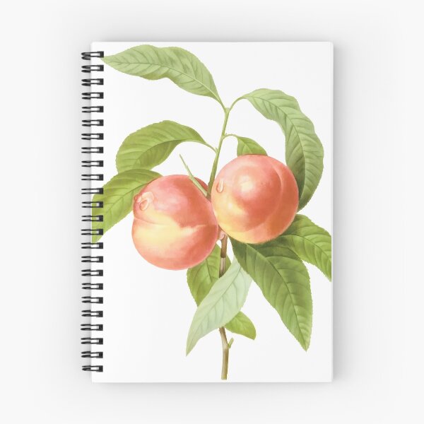 Aperçu de l'œuvre Impression botanique Vintage, Peaches par Redoute créée et vendue par PixDezines.