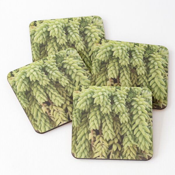 Item preview, Green succulent plant hanging donkey's tail designed and sold by NikitaAg.