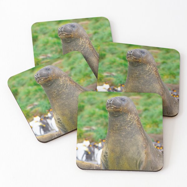 Item preview, What Is Over There?! designed and sold by CBoyle.