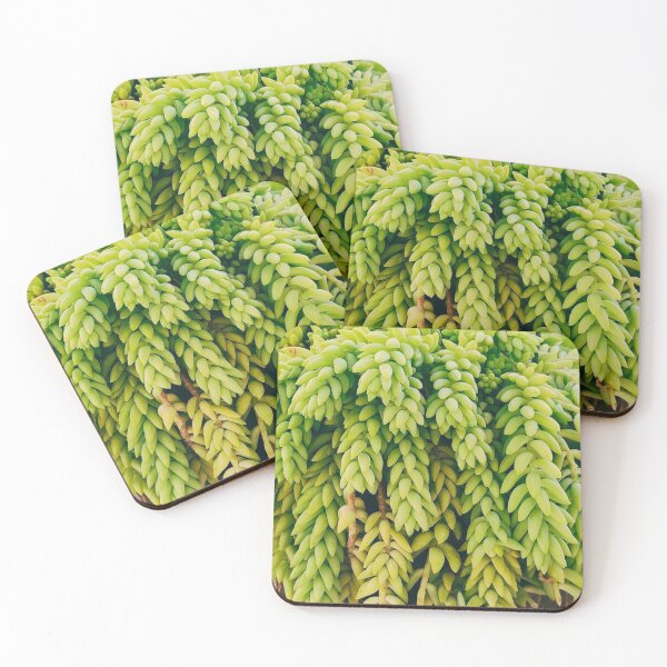 Item preview, Lush green succulent plant hanging donkey's tail designed and sold by NikitaAg.