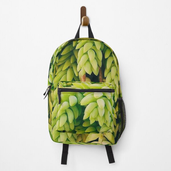 Item preview, Lush green succulent plant hanging donkey's tail designed and sold by NikitaAg.