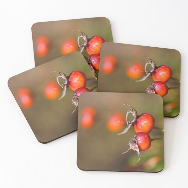 Item preview, Rosehip Red Fruit designed and sold by Joy Watson - Natural Light Photography .