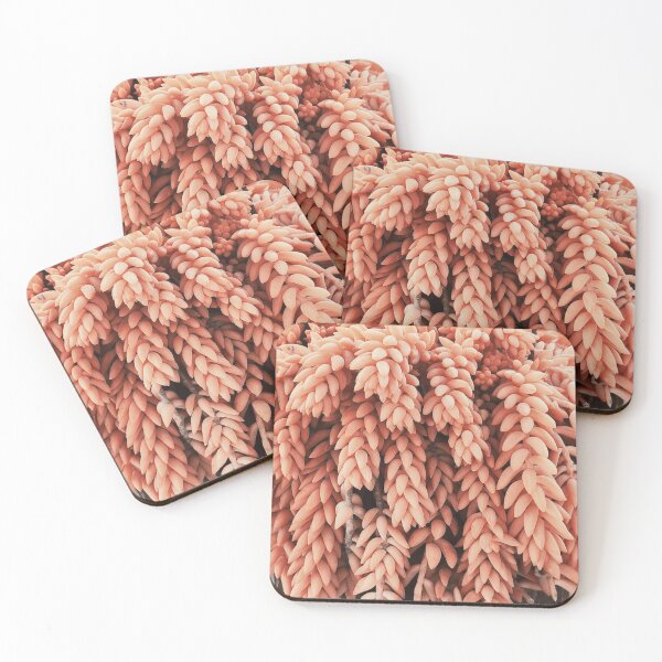 Item preview, Perfect peach succulent plant hanging donkey's tail designed and sold by NikitaAg.