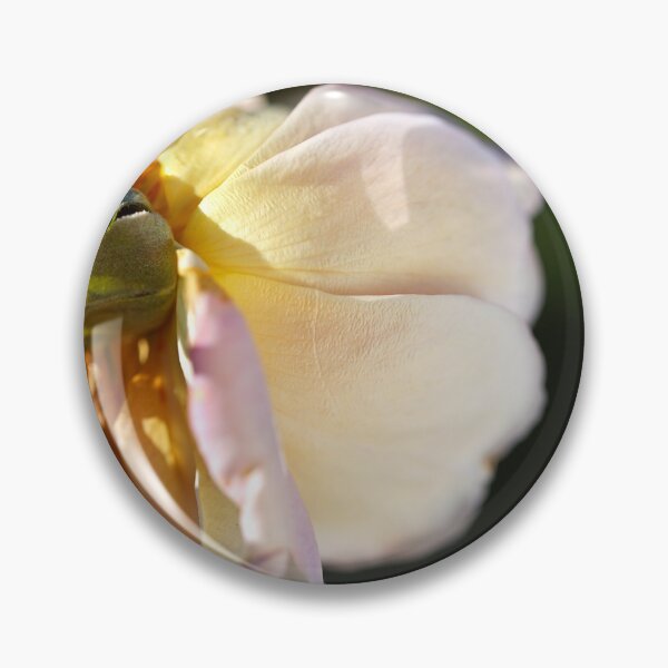 Item preview, Soft Side Light Rose designed and sold by Joy Watson - Natural Light Photography .