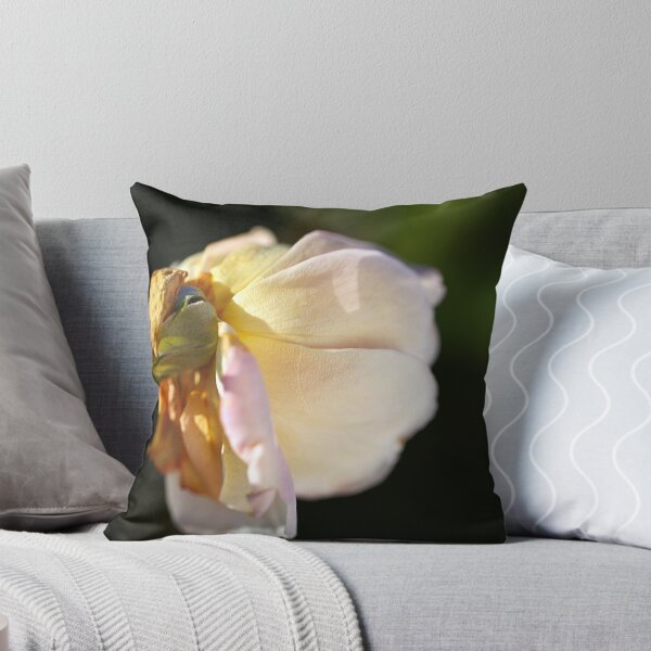 Item preview, Soft Side Light Rose designed and sold by Joy Watson - Natural Light Photography .