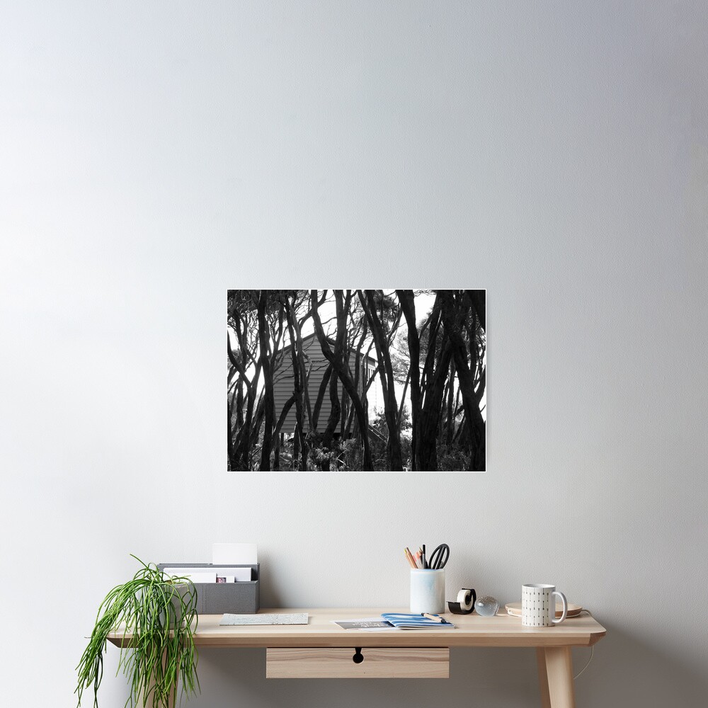 Bathing Box Poster