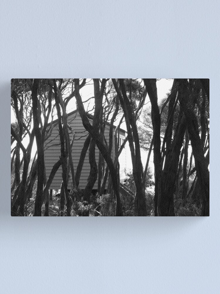 Alternate view of Bathing Box Canvas Print