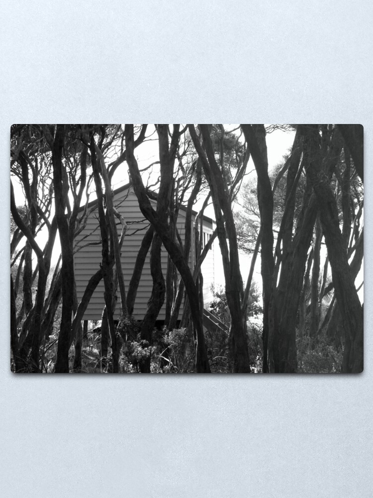 Alternate view of Bathing Box Metal Print