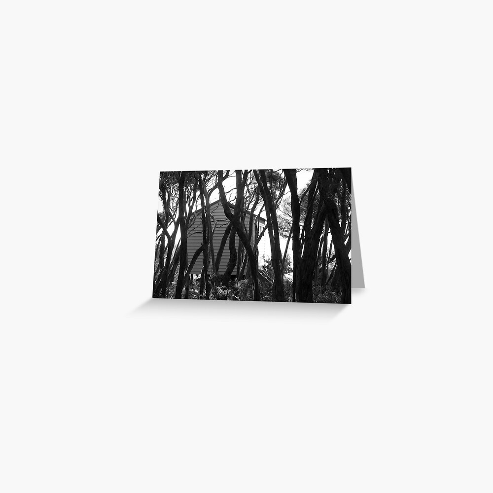 Bathing Box Greeting Card