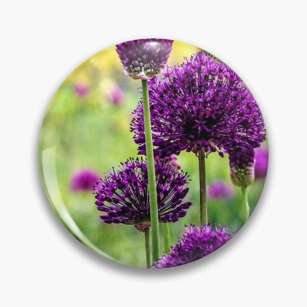 Item preview, Allium 1 designed and sold by Seashorepics.