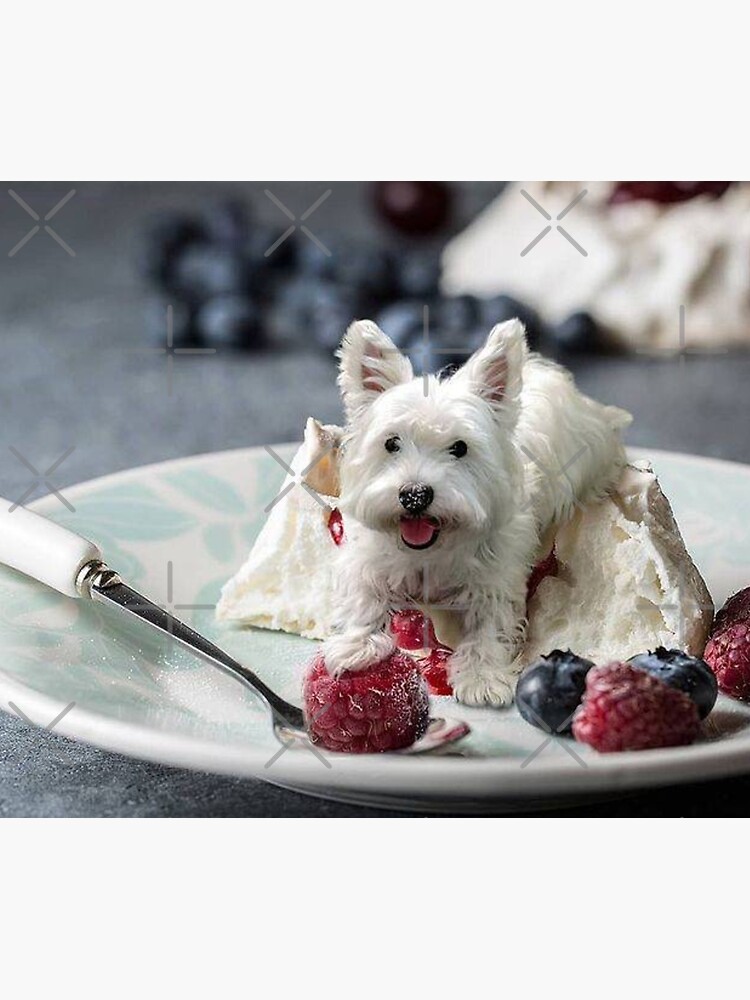 Westie throw outlet blanket