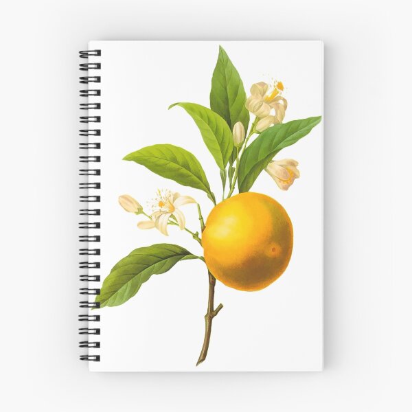 Aperçu de l'œuvre Impression botanique, Orange par Redoute créée et vendue par PixDezines.