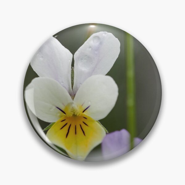 Item preview, White and yellow Wild pansy designed and sold by Jouko Lehto Photography.