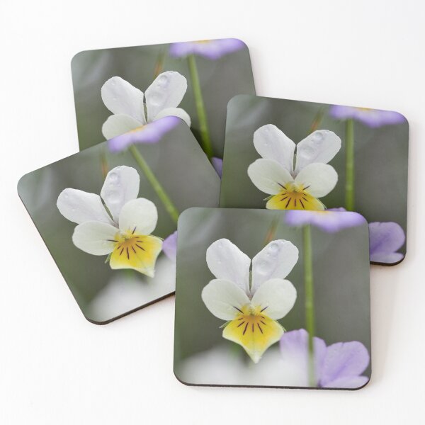 Item preview, White and yellow Wild pansy designed and sold by Jouko Lehto Photography.