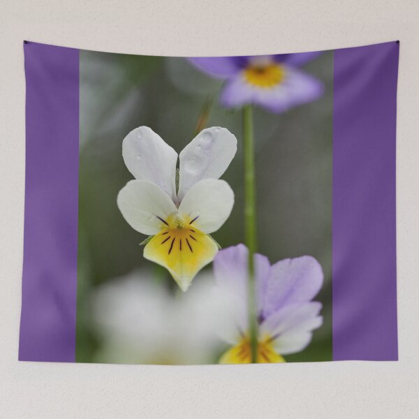 Item preview, White and yellow Wild pansy designed and sold by Jouko Lehto Photography.