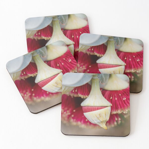 Item preview, New Beginning designed and sold by SallyB.Photography.