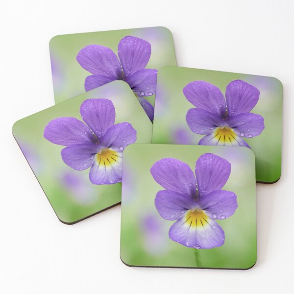 Item preview, Deep purple Wild pansy designed and sold by Jouko Lehto Photography.