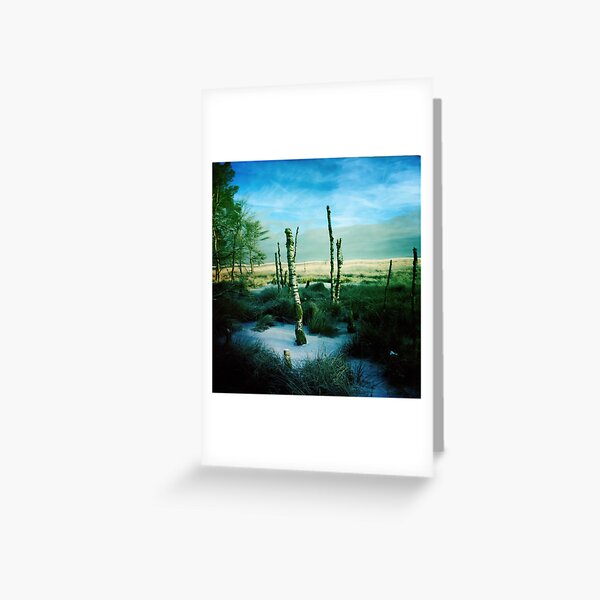 Snow Greeting Card