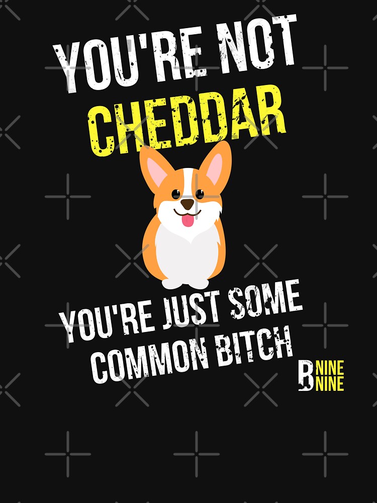 Youre Not Cheddar Shirt 99 Quotes Of Brooklyn Gift