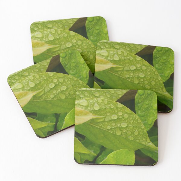 Item preview, Under the canopy  designed and sold by GFPhotography.
