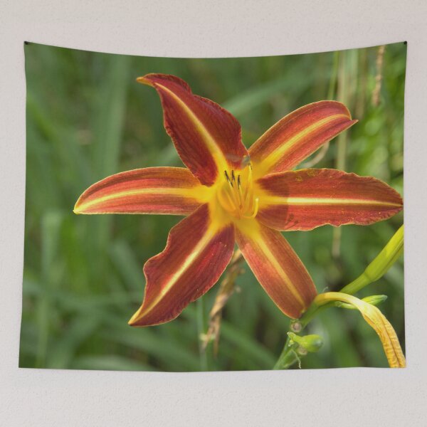 Item preview, lily designed and sold by Babbler01.