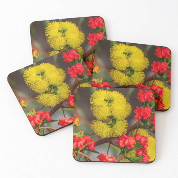 Item preview, Red-capped Gum designed and sold by SallyB.Photography.