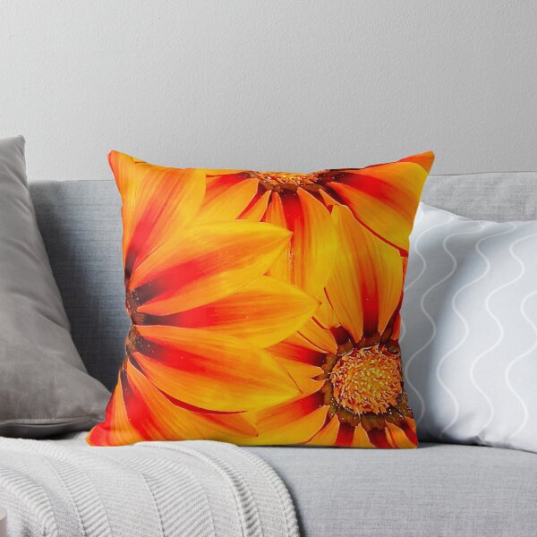 Aperçu de l'œuvre Marguerites africaines orange - fleur d'été créée et vendue par Poppy-World.
