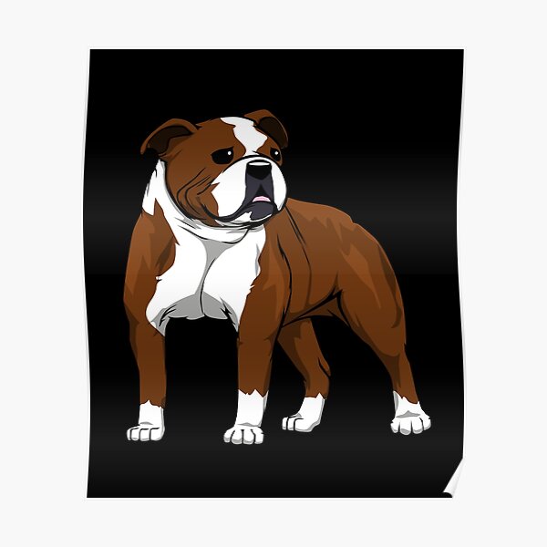 Wandbilder Old English Bulldog Redbubble