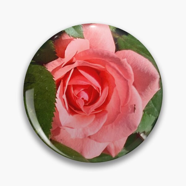 Item preview, Romantic pink roses in a white rocks garden designed and sold by Poppy-World.
