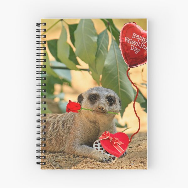 Aperçu de l'œuvre Sexy Meerkat Valentine créée et vendue par Larry Costales.