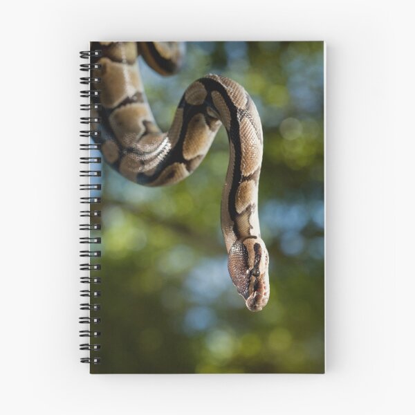 Item preview, Ball Python in a Tree designed and sold by Katie Krutzner.