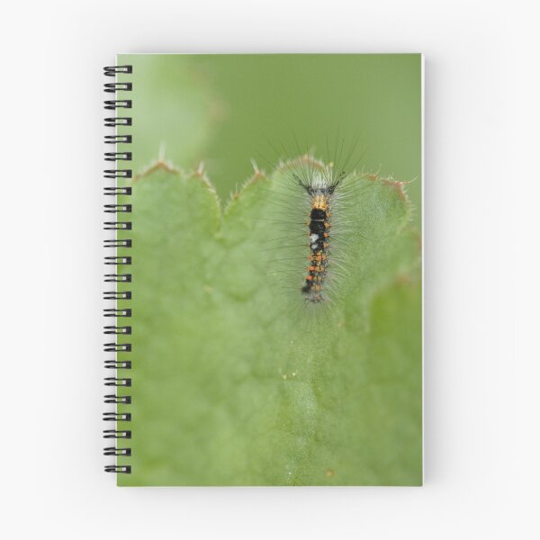 Item preview, Western Tussocks Moth Larva designed and sold by Katie Krutzner.