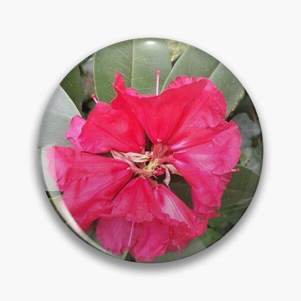 Item preview, Flowers designed and sold by FotoGraffy.