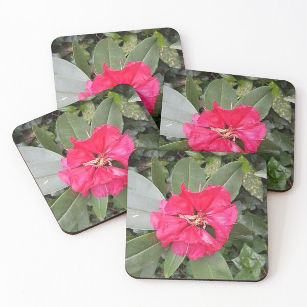 Item preview, Flowers designed and sold by FotoGraffy.