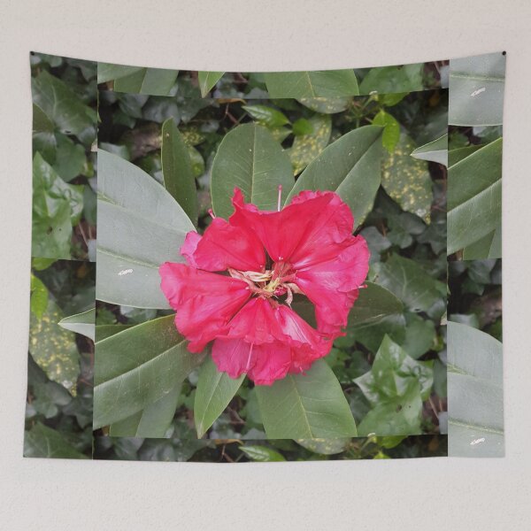 Item preview, Flowers designed and sold by FotoGraffy.