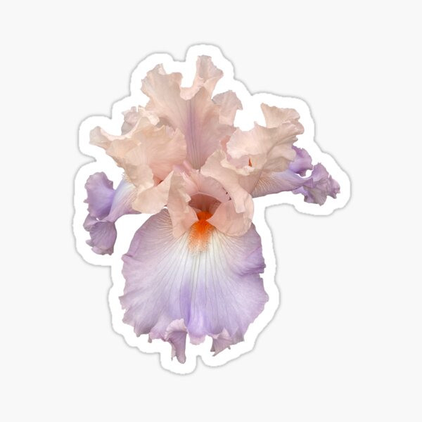 Flonz large stickers 24 pcs (2.5x3.5 each) iris lillies vintage