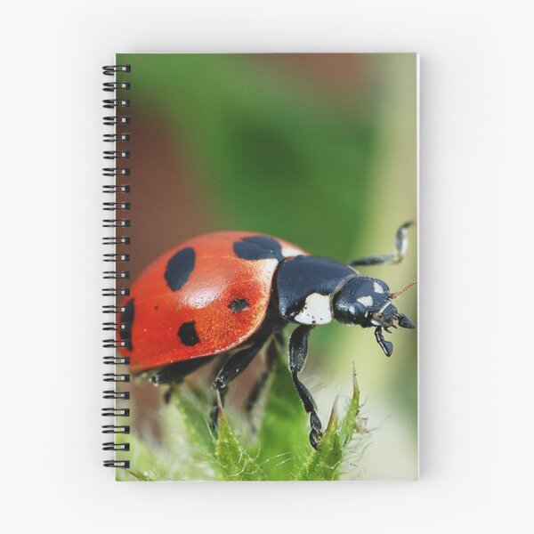 Item preview, Ladybird Love designed and sold by Fearless-Fox.