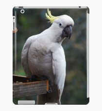 Hey Good Lookin' iPad Case/Skin