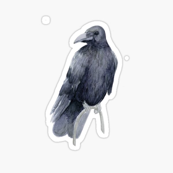 Rabe Aquarell Sticker