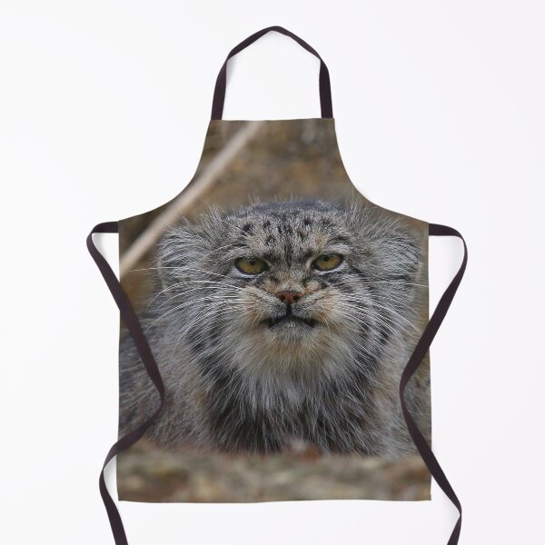Item preview, Wildcat Stare designed and sold by Fearless-Fox.