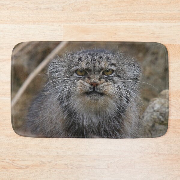 Item preview, Wildcat Stare designed and sold by Fearless-Fox.