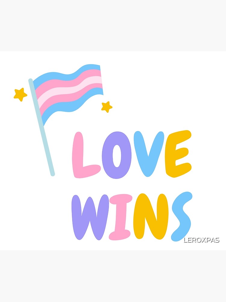 Love Wins Trans Pride Lgbt Community Merch Lgbtqia Poster