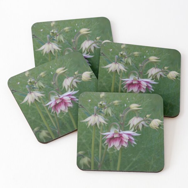 Item preview, Aquilegia designed and sold by frogs123.