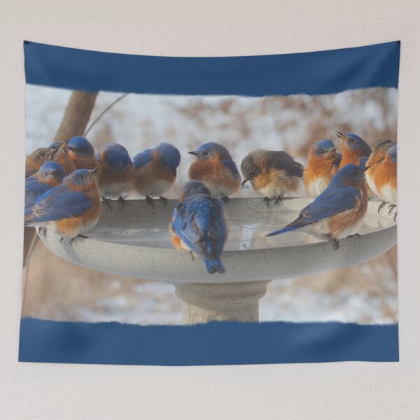 Item preview, BLUE BIRD BATH BONANZA designed and sold by THE AMERICAN TEEVANGELIST.