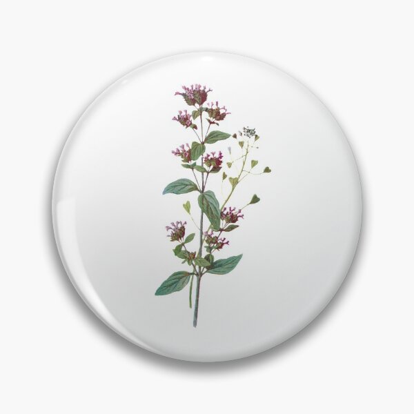 Item preview, Marjoram and Shepherds Purse Plants Print, Original Flower Print, Botanical Antique, Antique print, Foxglove Wall art, Foxglove Flower, Botanical Prints designed and sold by Studio66Designs.