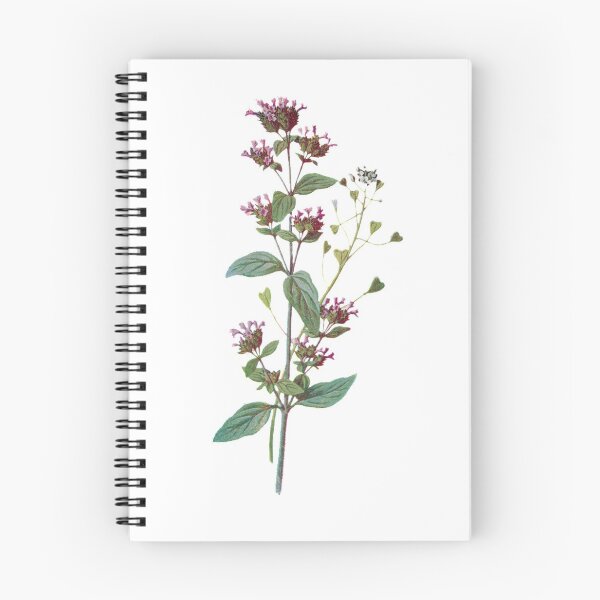 Item preview, Marjoram and Shepherds Purse Plants Print, Original Flower Print, Botanical Antique, Antique print, Foxglove Wall art, Foxglove Flower, Botanical Prints designed and sold by Studio66Designs.